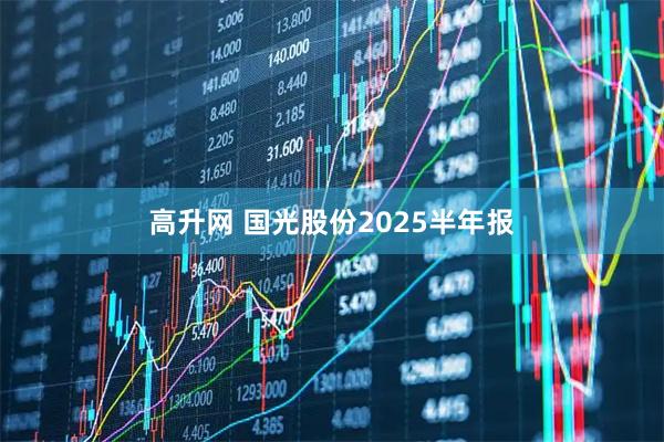 高升网 国光股份2025半年报